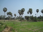 27817IMG_4714.JPG