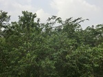 49943CIMG6280.JPG