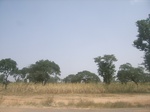 9068RIMG0148.JPG
