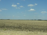 35229DSC02434.JPG