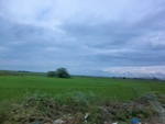 55978CIMG6657.JPG