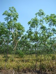 9216DSC03404.JPG
