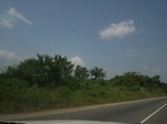 8974RIMG0049.JPG