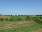 19430P1010277.JPG