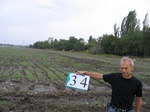 10229034-Farm land (Surface water) winter wheat-b.jpg
