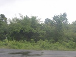 33637RIMG0302.JPG