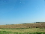 55243CIMG1296.JPG