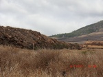 36158CIMG3200.JPG