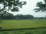 21772DSC08347.JPG
