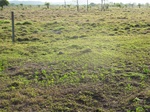 32044IMG_5675.JPG