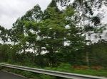 34727CIMG2552.JPG