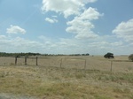 35713DSC02217.JPG