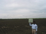 9422gt88a_cropland_farmfallow_sunflower.gif
