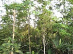 16234IMG_5005.JPG