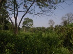 8965RIMG0040.JPG