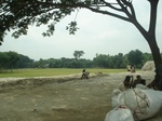 21769DSC08343.JPG