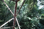 2024-08-05_16-54-12_89B59AE7-D620-459D-A89A-40B8A774B33D.jpeg