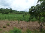 18481P1000317.JPG