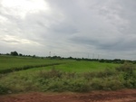 55944CIMG6674.JPG