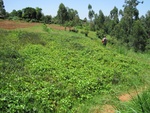 32142IMG_0583.JPG