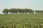 2024-08-05_14-21-48_FDEAA7B5-0E08-4E12-B56E-C19D06221014.jpeg