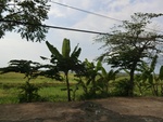 31660CIMG1528.JPG