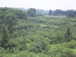 931R0015415.jpg
