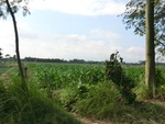 31413CIMG1277.JPG