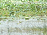 1687002052008(29).JPG