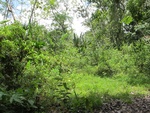 29558IMG_5201.JPG