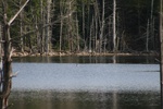 379IMG_3488.JPG