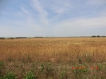 29664CIMG0948.JPG