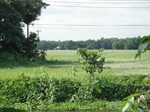 21375DSC00652.JPG