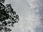 47260CIMG3597.JPG