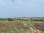 1694002052008(99).JPG