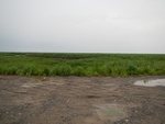 54341DSCN1615.JPG