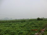 33155CIMG2392.JPG
