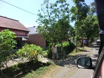 30219CIMG1753.JPG