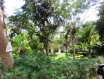 31008CIMG0870.JPG