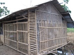 14460IMG_4813.JPG