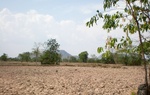 43687pic1.jpg