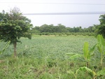 33614RIMG0279.JPG