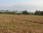 31303CIMG1165.JPG