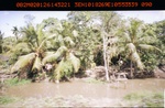 40489Anh4170.JPG