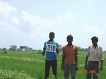 131120310b-irrigated-canal-rice-doublecrop-gram.gif