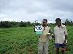 124080108c-rainfed-agriculture-mixedcrop-groundnut-dominant-sorghum-millet.gif