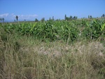 26482RIMG0292.JPG