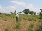 9279gt028a-shrubland-grassland.gif