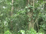 47273CIMG3610.JPG