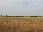 29455CIMG0740.JPG